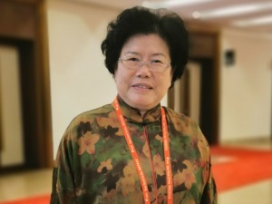 中国国际经济交流中心总经济师陈文玲回应每经：海南应充分利用自贸港等政策优势，在营商环境质量上努力超越一线城市