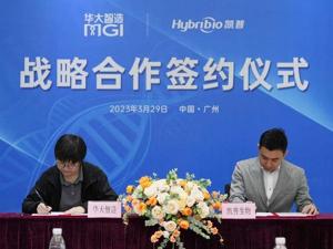 凯普生物与华大智造战略合作，共同守护健康中国