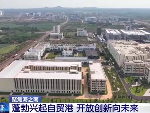 热搜第一！海南已全面启动全岛封关运作准备