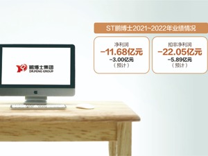 ST鹏博士拟为新设算力公司担保 有独董弃权：公司对外担保比例高企