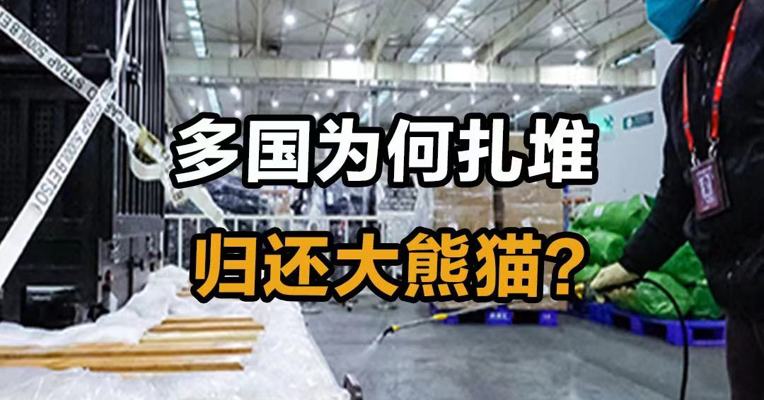 多国为何扎堆 归还大熊猫？
