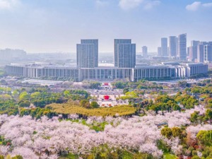 东北小伙给无锡好评，为何引来沈阳市长点赞？