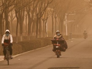 专题 | 超4亿人集体“吃土”，40多年的防护林不管用了？