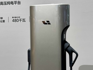 车展速递 | 理想汽车宣布进入“双能战略”发展阶段 首款纯电车型搭载宁德时代麒麟电池