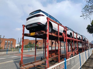 汽车消费、生猪价格、铁矿石价格……刚刚，国家发改委举行新闻发布会，回应了这些热点