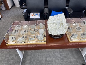 直击股东大会丨川能动力新任董事长亮相  谈了谈李家沟项目进展、锂价走势……