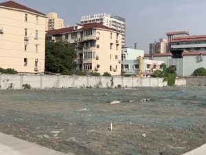 前有开发商橙子+香蕉，后有购房者“意念预定”，上海热门区域地块遭抢，专家称“利润都能算出，容易出网红项目的地块不愁卖”