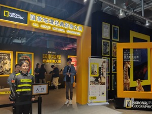 生命百态，浓缩在这170张照片里