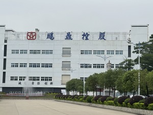 直击股东大会丨鹏鼎控股董事长沈庆芳回应单一大客户占比超50%：最重要的是能满足客户需求