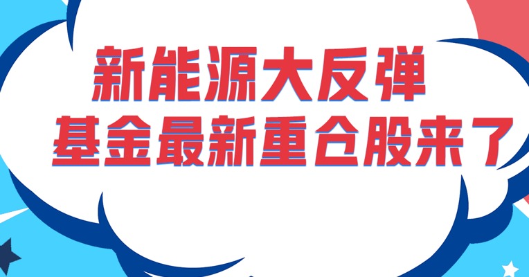 新能源大反弹！最新的基金重仓股TOP20来了！