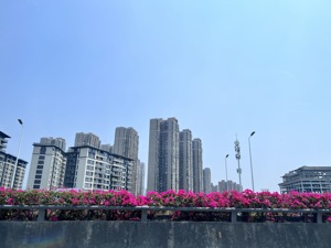 这个省会城市陷入新房“开盘荒”，今年首次土拍仅1宗纯商品房宅地