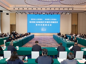 协同助力成渝地区双城经济圈建设 川渝人大召开第四次联席会议
