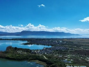 “移民”大理，他们生活得怎么样？