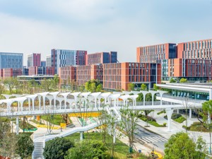 精准医疗产业化基地项目在成都天府国际生物城启动