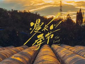 口碑“封神”之余，《漫长的季节》悄悄展现行业变局