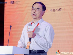 清华大学赵平： “全球榜TOP100”16家中国内地企业上榜  “总榜TOP100”5大行业品牌价值超万亿