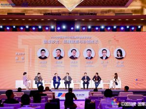 品牌建设助力经济发展 2023中国上市公司品牌价值榜系列榜单出炉