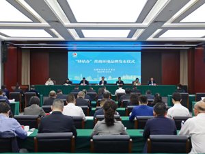 “优”无止境 成都经开区（龙泉驿区）营商环境建设迈入5.0时代