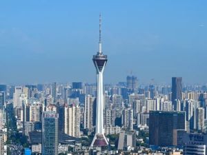 1.0版到5.0版，营商环境改革的“赢商”之道