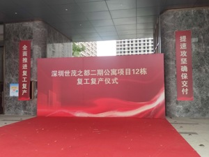 曾想打造600米“深圳第一高楼”，停工一年多，这个500亿级的标杆项目找到接盘方了？