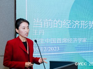 恒生中国首席经济学家王丹：汽车消费体现了消费的周期，而且有很强的前瞻性