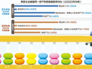 临港化工多个数据“打架”，最多差了3000万元
