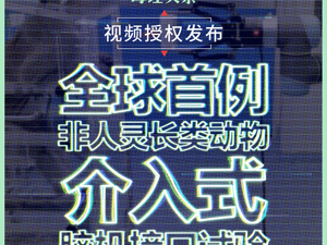 脑机接口技术，我们赶上来了（附试验视频）