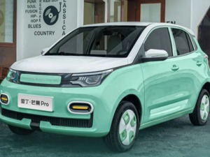 宣布融资32亿不足5个月 “老头乐”霸主雷丁汽车申请破产