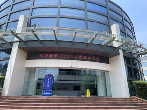 直击股东大会｜华邦健康商誉减值计提超4亿元“拖累”全年业绩 多家子公司具备未来上市可能性