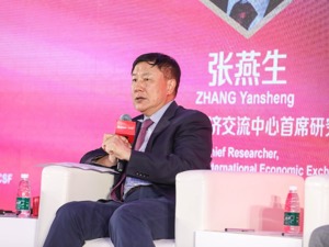 中国国际经济交流中心首席研究员张燕生答每经记者问：解决经济内生动力不足，核心在于提振信心、改善预期