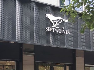 ESG信披案例 | 七匹狼：社会责任报告仅有6页，核心环境数据缺失   