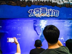 茂化实华“短炒”北京海洋馆遇阻 二股东茂名石化投反对票否掉议案