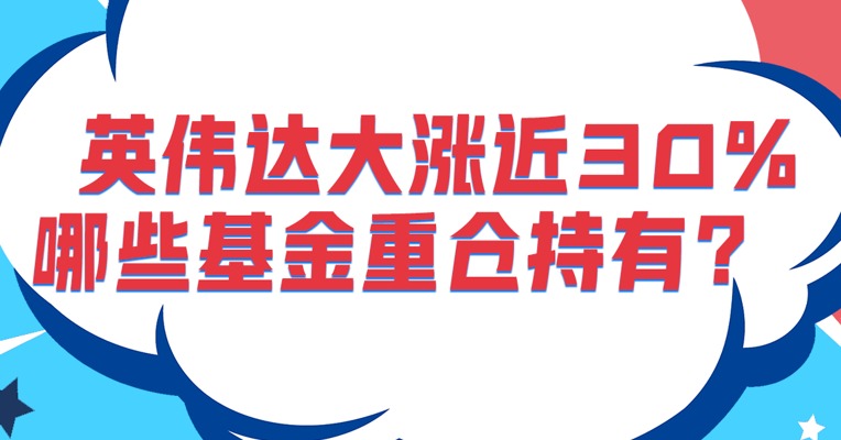 震惊！AI总龙头英伟达一度大涨近30%，哪些基金重仓持有？