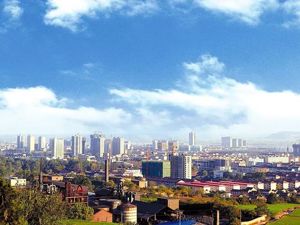 杨澜夫妇宝鸡“投资局”