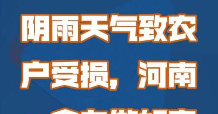阴雨天气致农户受损，河南：全力做好农业险理赔工作