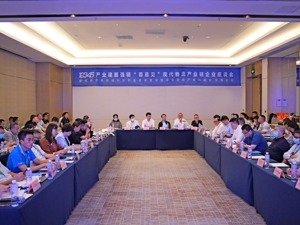 成都机场转场后，航司如何应对运量、时刻阵痛？