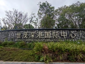 起拍价130.4亿！世茂深港国际中心12宗地土地使用权及地上物被摆上货架