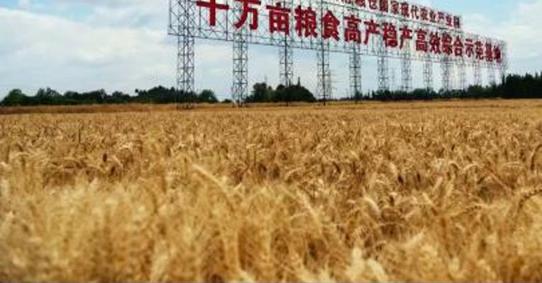 全国麦收进度过一成