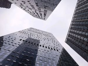 光厂创意科技创始人杨达：版权保护并没什么“技术壁垒”，我们愿意“日拱一卒”