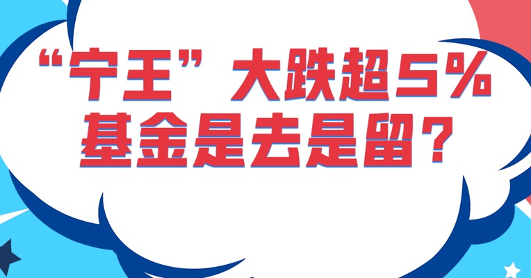 基金怎么看“宁王”？选择抛弃还是坚守？
