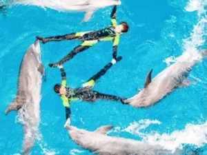 海昌海洋公园股价闪崩，跌幅超27% 公司内部人士：可能是被恶意做空