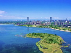 川渝自贸试验区协同开放示范区交流座谈会在重庆两江新区举行