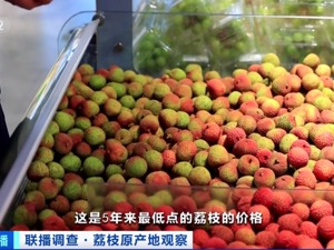 大降价！每斤跌至3元，妃子笑荔枝卖出蔬菜价！经销商：5年来最低的价格
