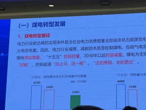 “双碳”目标下如何看待煤电？专家：煤电仍是实现新能源高效消纳的可靠调节性电源，要把新能源“扶上马、送一程”