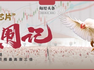 破解鸡苗“芯片”