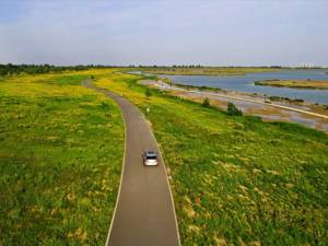 河北石家庄：水清岸绿花成海 滹沱美景醉游人