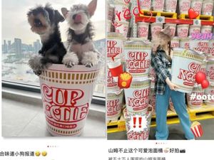“巨型泡面桶”遭疯抢，被炒至500元！网友：就我一个人觉得不值吗？