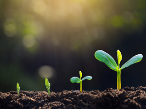 豆粕ETF大涨8%，恒生科技相关ETF集体涨超3%；基金公司集中上报半导体材料设备主题ETF