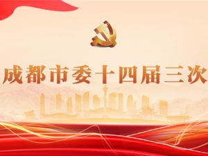 聚焦成都市委十四届三次全会