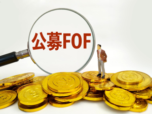 FOF资产配置添新标的，近期主题切换加剧，基金调仓引关注